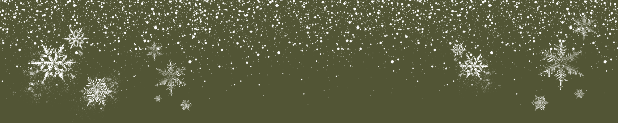 WEBSITE BANNERS