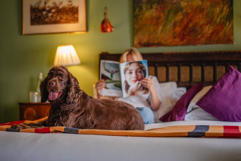 DSC06256-Enhanced-NR